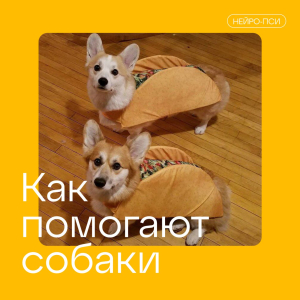 🐶 Как собаки помогают справиться с тревожными расстройствами, депрессией и биполярным расстройством